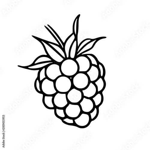 vintage style raspberry fruit element for kitchen and cafe decoration