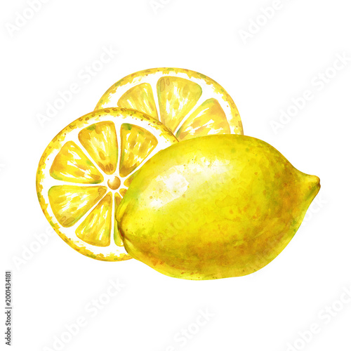 Watercolor illustration with one whole yellow lemon and two round juicy slices isolated on a white background. Perfect for organic juice packaging, lemonade labels, kitchen decor, healthy lifestyle