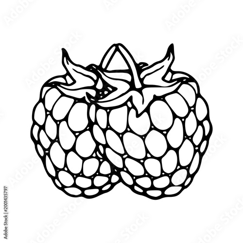 vintage style raspberry fruit element for kitchen and cafe decoration