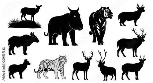Collection of Diverse Animal Silhouettes and Illustrations.