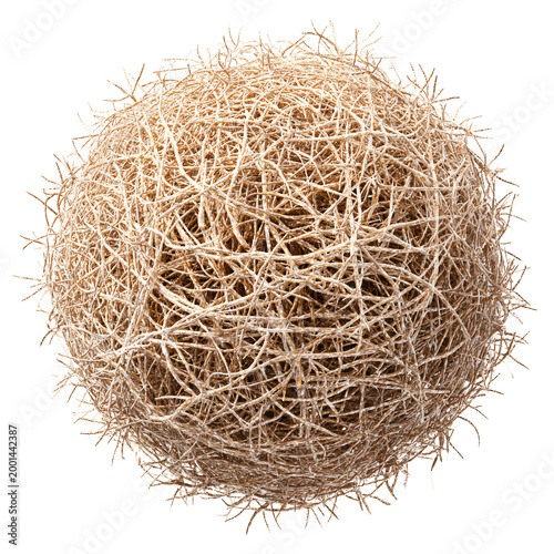 Foto Dry Tumbleweed Isolated on Transparent Background PNG - Professional Stock Photo