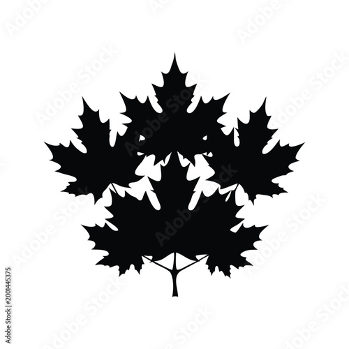 Silhouette of a maple leaf with intricate details, perfect for autumn designs, vector illustration, maple cluster leaf silhouette vector illustration