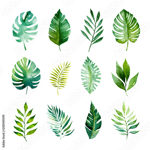 Artistic Watercolor Tropical Spring Green Leaves Collection for Creative Projects