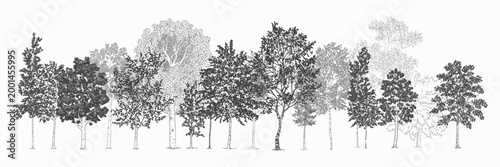 Architectural CAD Tree Line Drawing Set, Minimal Style Wetland Forest Sections, Side View Outline Elements for Landscape Design Plans, Clean Vector Illustration Collection in Separate Editable Layers