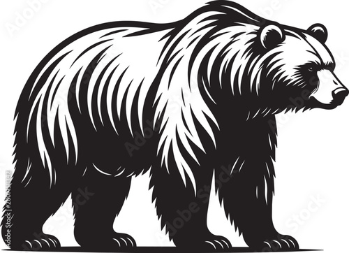 Bear icon modern Silhouette Black Vector