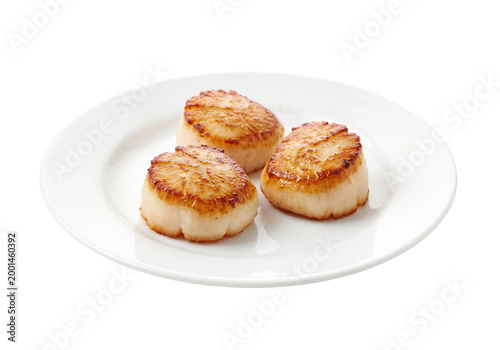 Pan Seared Scallops on White Plate