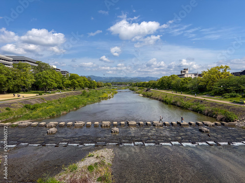春の鴨川