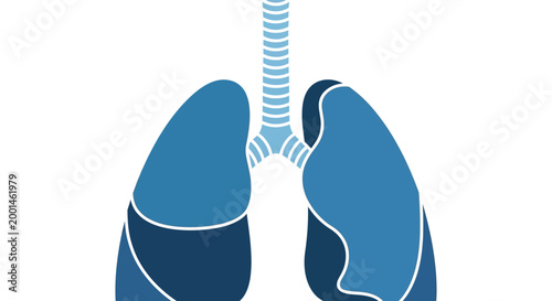 Human lungs and respiratory system vector illustration in blue shades