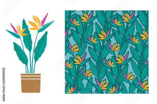 Hand drawn vector seamless tropical pattern with bird of paradise flowers and leaves, vibrant exotic background in botanical style on a turquoise striped background