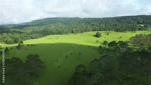 A serene summer landscape features rolling green grass meadows and rural hills under a blue sky with white clouds as majestic mountains and lush forests frame the scenic countryside view