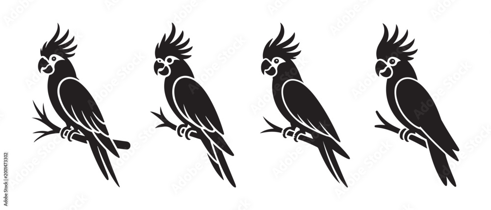 Fototapeta premium Black Cockatoo Parrot Silhouettes. Perched on Branches in a Minimalist Row on White Background.