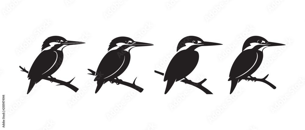 Fototapeta premium Set of Kingfisher Bird Silhouettes. Perching on Branches Minimalist Black and White Wildlife Icons.