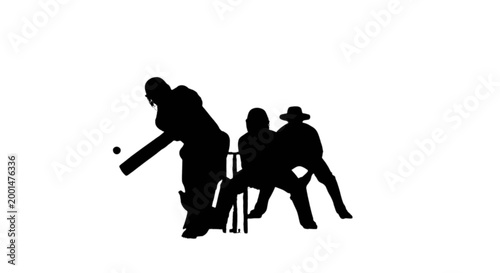 Cricket players silhouette batting isolated on transparent background, Vector