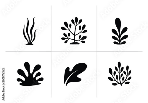 Collection of Black Silhouettes of Marine Plants and Coral Forms