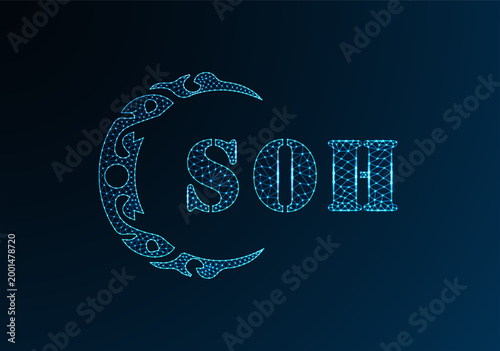 Tableau sur toile Low poly letter logo SOH design