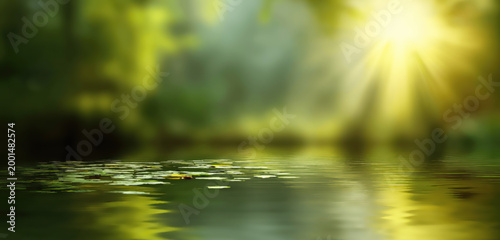 Soft focus forest pond bathed in ethereal sunbeams, lily pads float on serene water