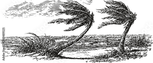 two palm trees bent by strong coastal wind on a beach with turbulent ocean waves