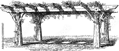 Wooden garden pergola with climbing vines and shaded patio area vintage sketch drawing