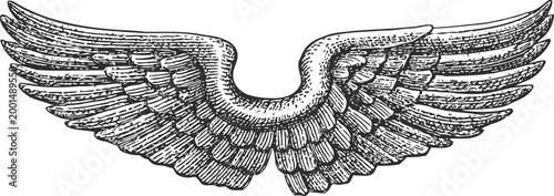 Detailed vintage wings illustration angel feathered wings spread wide in classic engraving