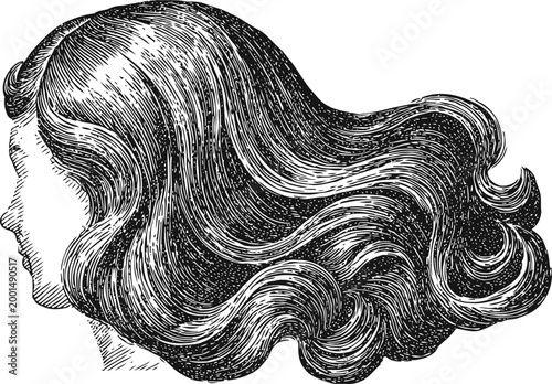 Vintage engraving of woman with flowing wavy long hair detailed curls profile illustration