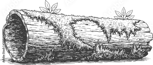 Detailed hand drawn hollow tree log covered with moss and small plants nature sketch
