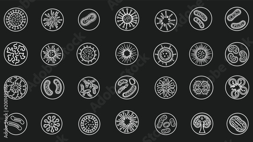 Collection of diverse microscopic organisms and cells drawn in a detailed white line art style on a solid black background.
