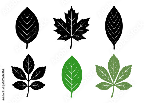 Obraz na plátne Minimalist leaf icon set in silhouette design