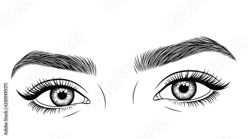 Highly detailed black and white sketch of beautiful human eyes with long lashes and perfectly shaped eyebrows in a realistic artistic style.