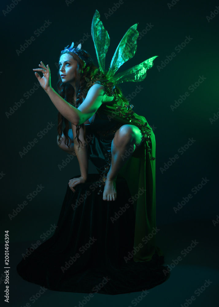 Fototapeta premium portrait of female model wearing fantasy fairy costume, green dress, cloak, butterfly wings and crown. full length crouching pose, isolated on dark studio background.