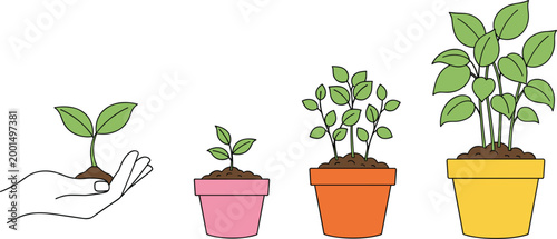 Set of 4 Vector Illustrations of Growing Plants in Pots with Different Stages of Growth for Websites, Apps, and Digital Media Designs