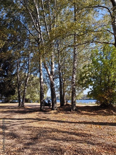 autumn in the park