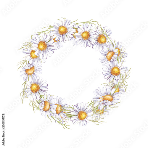 Wreath hand-painted in watercolor with multiple white daisy flowers (chamomile) and green stems isolated on a white background. Circle frame for wedding stationery, spring festival branding, eco