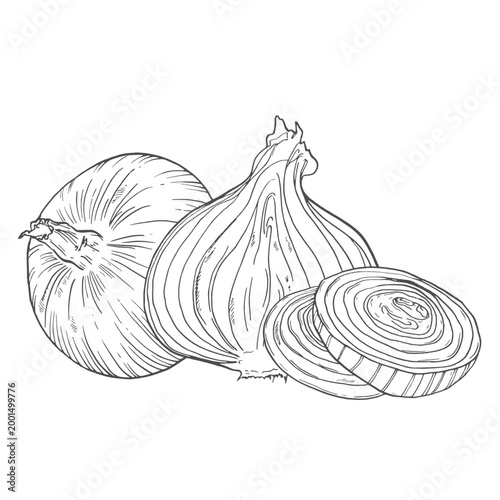 Onion vegetable, whole, half sliced and slices isolated on white. Hand drawn vector sketch illustration in vintage charcoal ink.