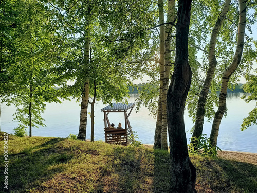 summer landscape by the river