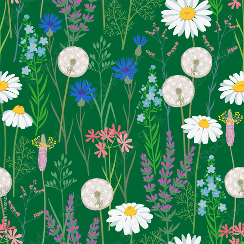 Seamless delicate wildflower meadow pattern on dark green background, soft botanical illustration with daisies dandelions herbs and field flowers for textile design