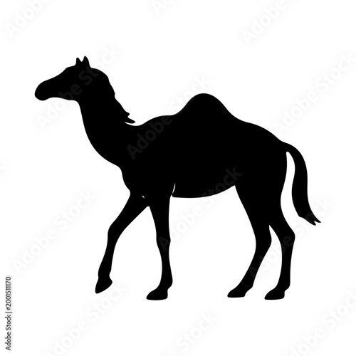 Black Silhouette of a One Humped Dromedary Camel Isolated