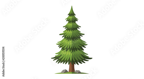 Evergreen Pine Tree Illustration Isolated on White Background Vector Design