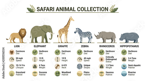 Safari Animal Collection: Lion, Elephant, Giraffe, Zebra, Rhino, Hippo - Facts & Icons