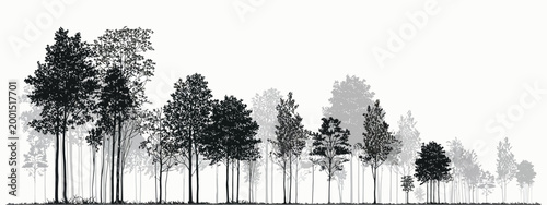 Architectural Tree Elements Outline Set, Minimal CAD Turf Drawing Symbols for Landscape Design, Clean Graphic Trees Collection for Architecture Plans, Site Layouts, and Vector Illustration Use