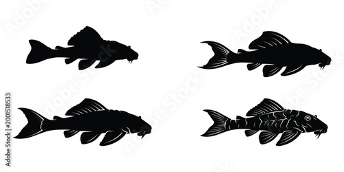 Plecostomus Fish Silhouette Set Aquarium Algae Eater Vector Illustration