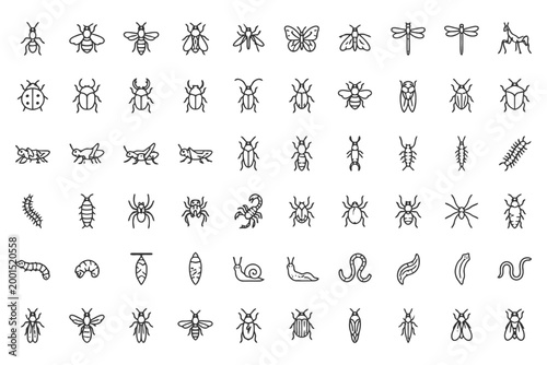 Collection of insect and arthropod line art illustrations in black and white.