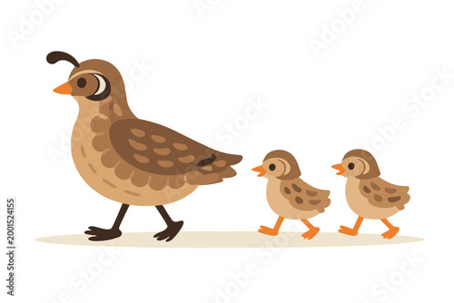 A cartoon mother ostrich with baby chicks walking on transparent background. Large flightless bird with small brown offspring in a cute wildlife family scene for children.