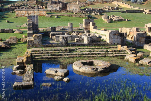 selinunte archaeological site ancient Greece remains of the city archaeology Sicily