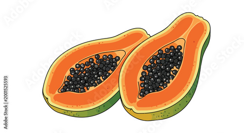 Fresh Ripe Papaya Fruit Halves with Black Seeds Vector Illustration Isolated on White Background
