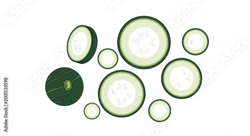 Fresh Green Zucchini Slices and Courgette Rounds Vector Illustration Isolated on White Background