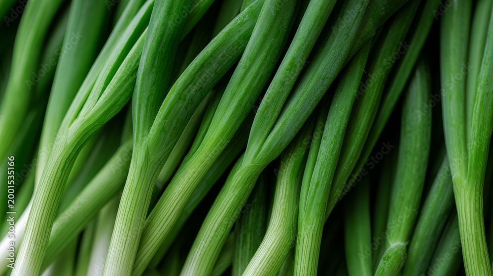 Obraz premium Fresh green onions arranged in a vibrant, textured display.