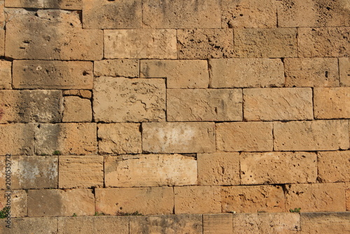 Fotografia selinunte archaeological site ancient Greece remains of the city archaeology Sic
