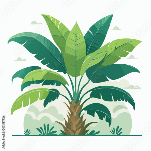 Stylized illustration of a lush green banana palm tree