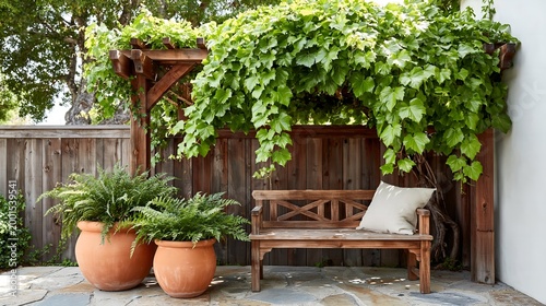 Lush green vines cover wooden bench and trellis.