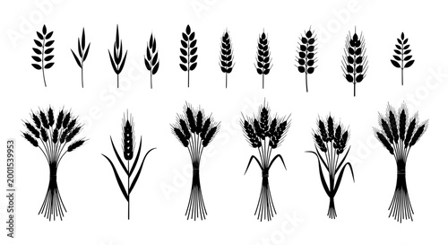 Wheat sheaf icon set with black detailed stalks, textured grain pattern for vector banners and farm themed designs